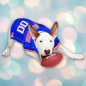 Florida Gators College Football Dog’s Sports Jersey Size M